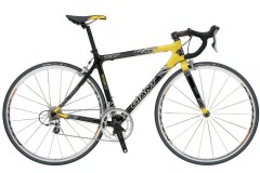 Giant TCR Composite 1 (2006)